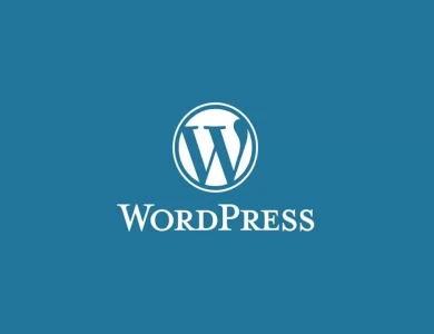 profitto da WordPress