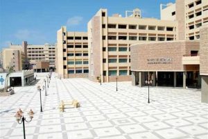 جامعة فاروس فى الاسكندرية الأقسام والمصاريف 2023 - 2024