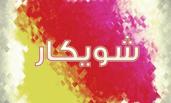 معنى اسم شويكار والصفات الشخصية صاحب الاسم