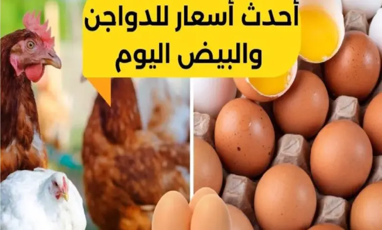 أسعار الدواجن