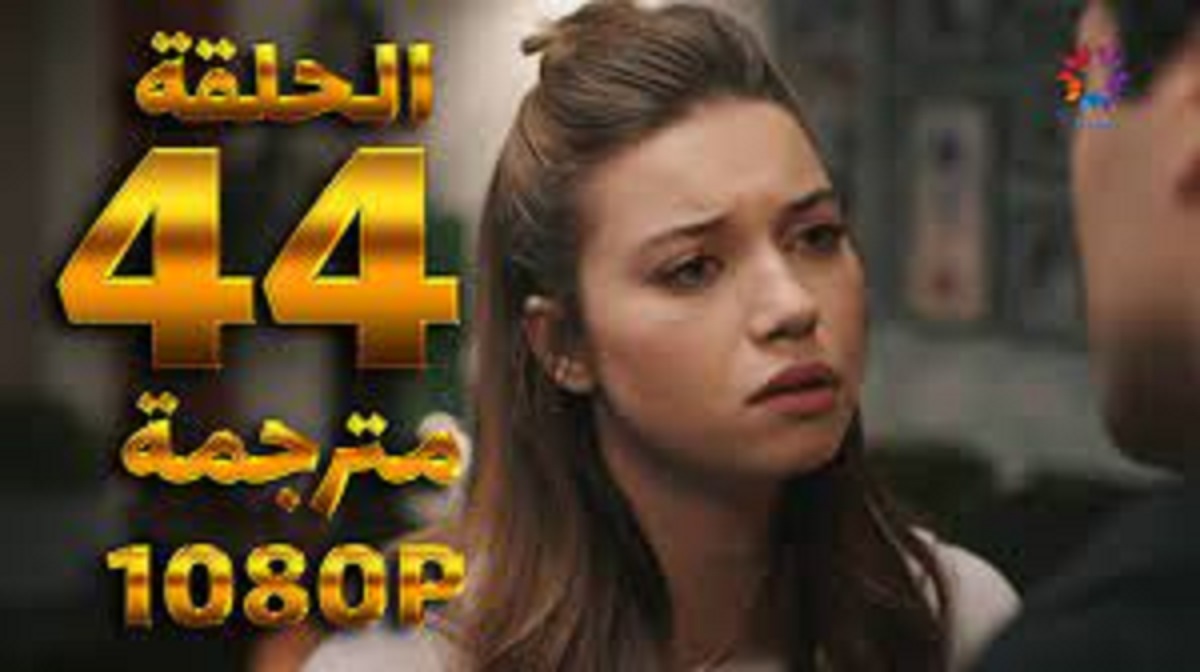 مسلسل طائر الرفراف