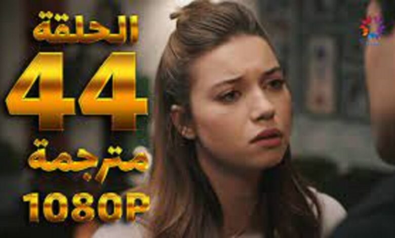 مسلسل طائر الرفراف